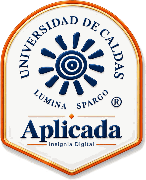 Insignia de nivel Aplicada