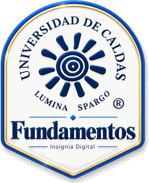 Insignia de nivel Fundamentos